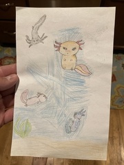 Greta Axolotl Drawing